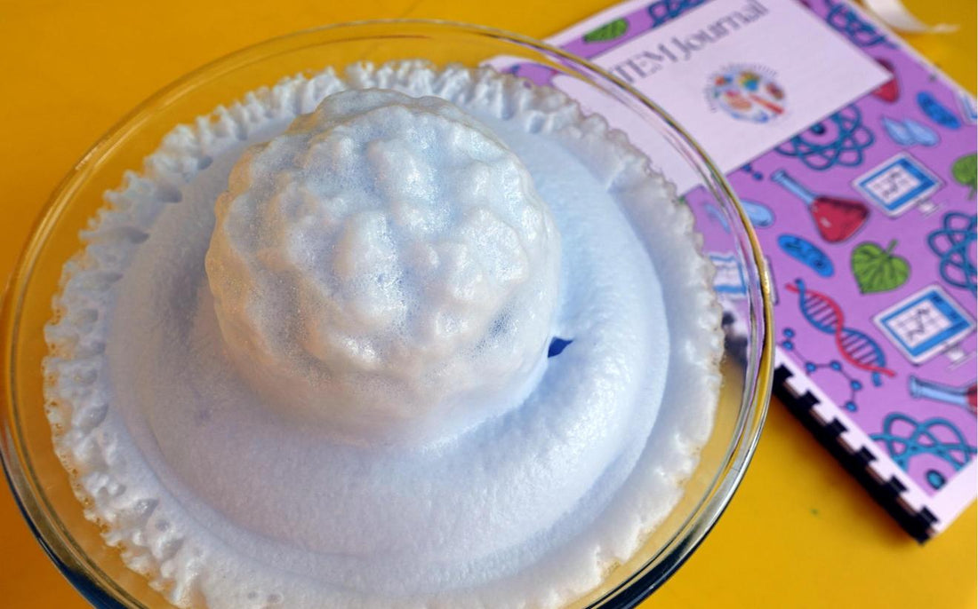 Empower Young Scientists: Using a STEM Journal for Inquiry and Discovery