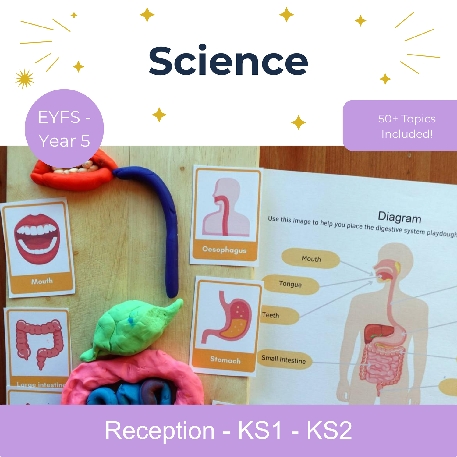 Enjoy this wide range of primary STEM lesson plans.