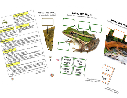 Year 1 Amphibians + Nature Journal