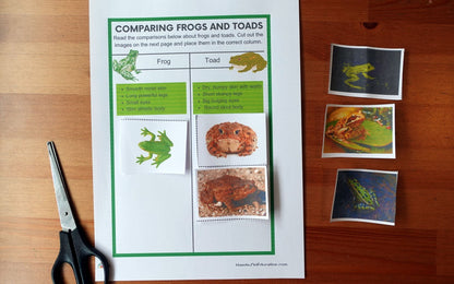 Year 1 Amphibians Activities