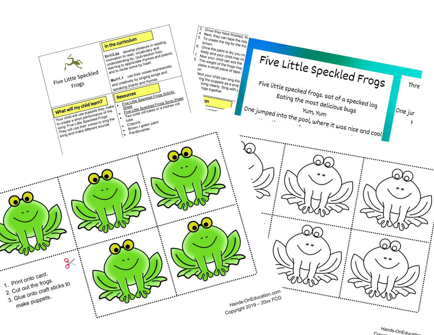 Amphibians + Nature Journal