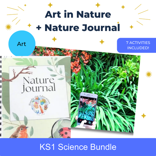 KS1 Actividades de arte en la naturaleza 