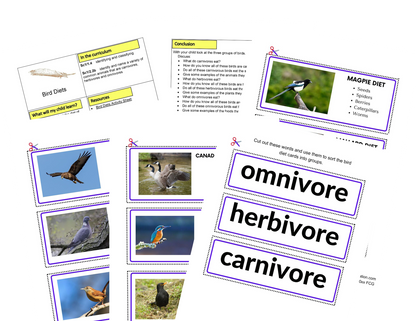 Actividades de aves KS1