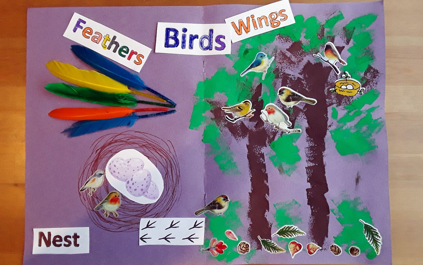 Year 1 Birds Activities