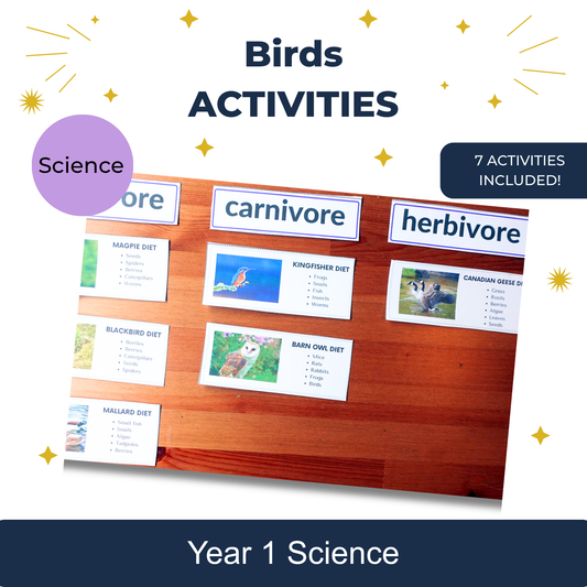 Birds Activities