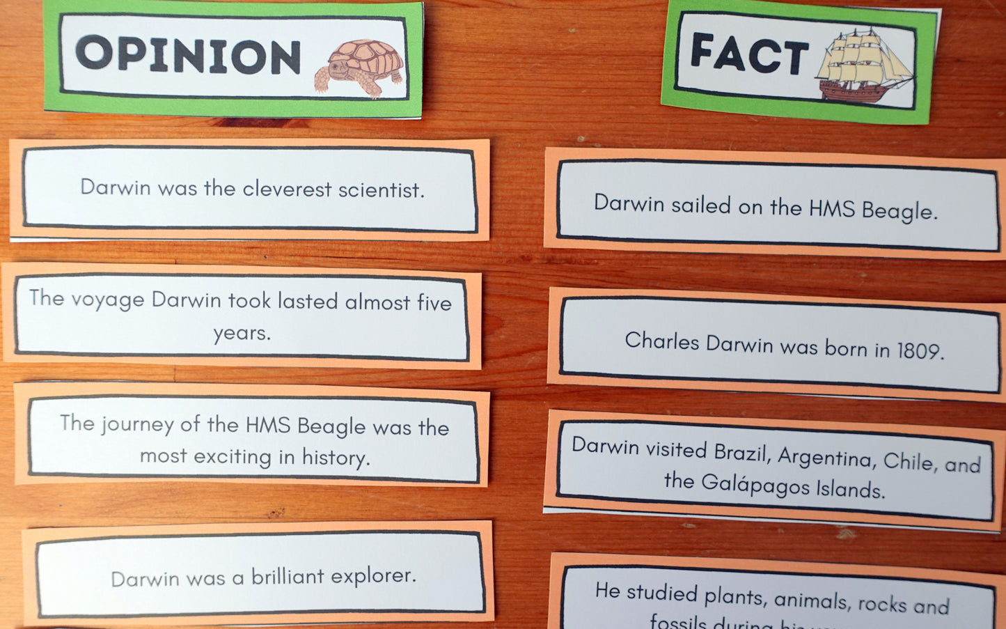 Year 6 Charles Darwin Activities