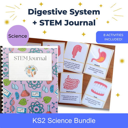 Year 4 Digestive System + STEM Journal