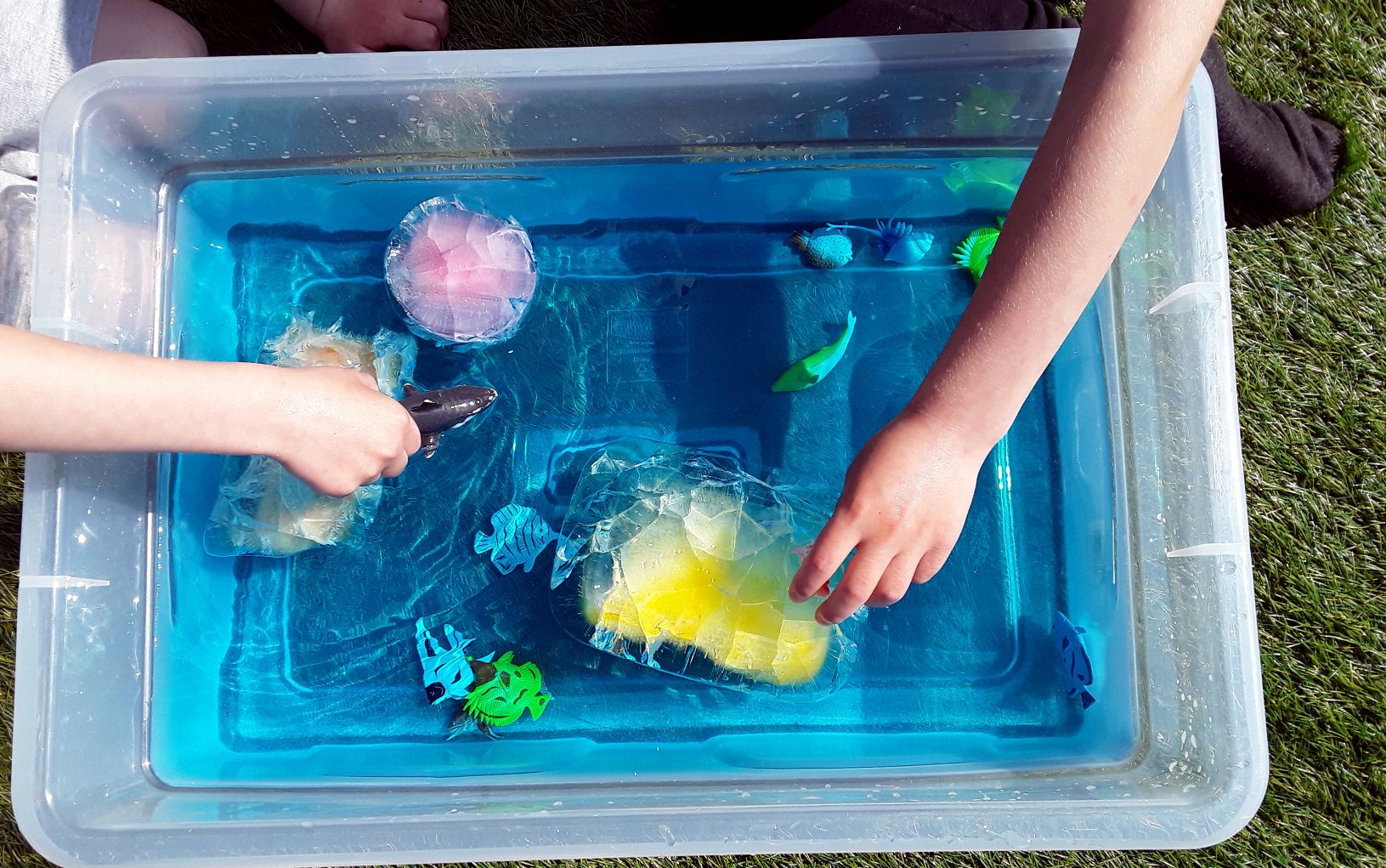 KS1 Fish Activities | Hands-On Education