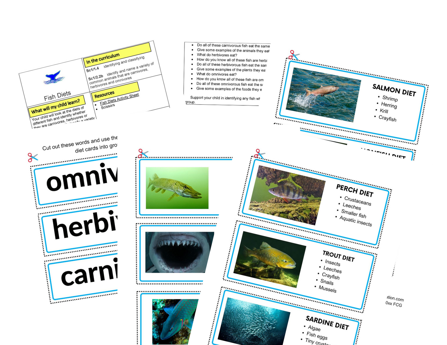 Activités de poisson KS1