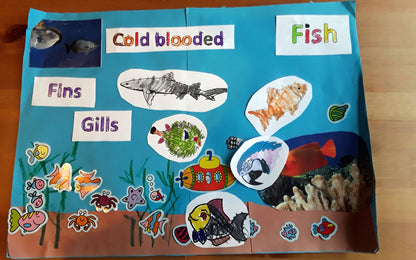 Year 1 Fish Activities