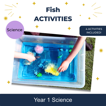 Fish Activities