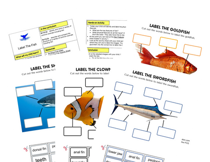 Activités de poisson KS1