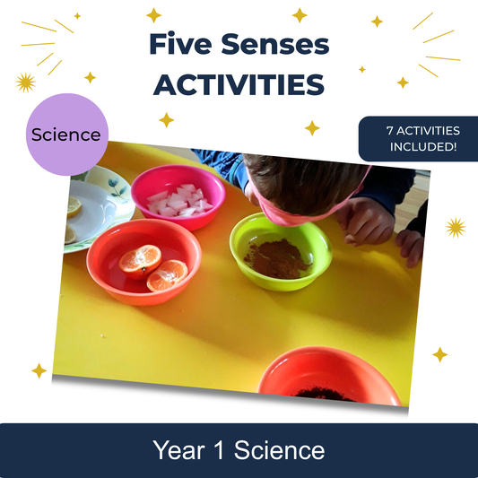 Five Senses Activities