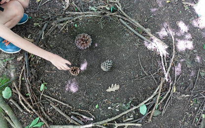 KS1 Comment les plantes poussent des activités