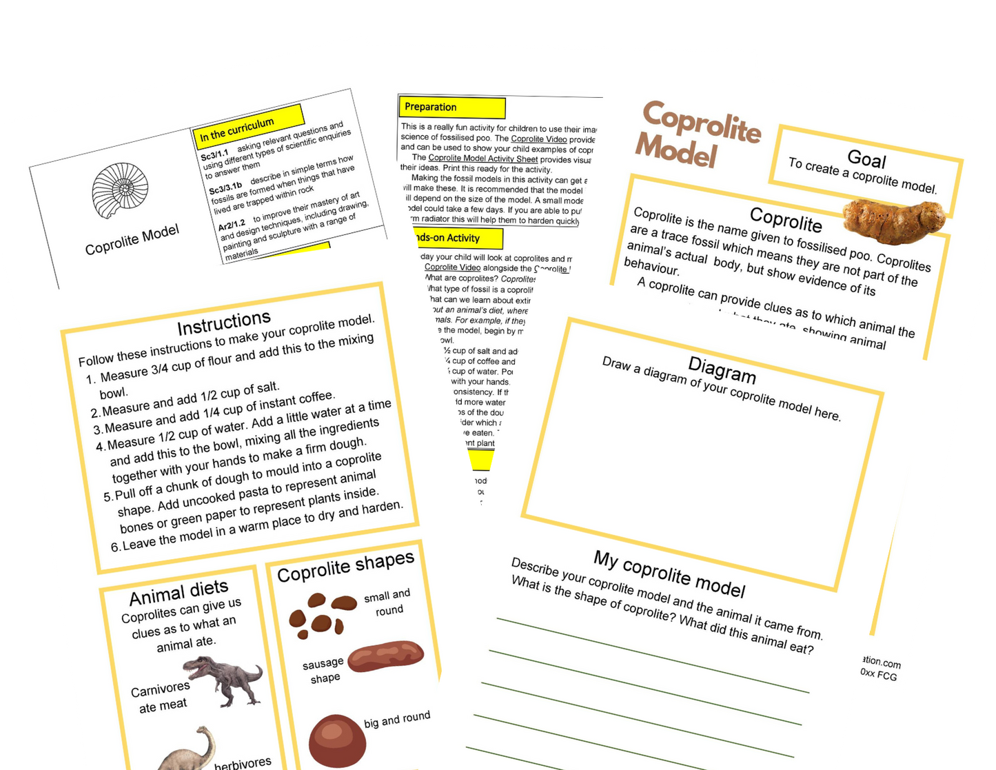 Activités fossiles KS2