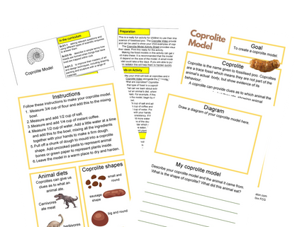 Activités fossiles KS2