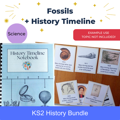 History Timeline Notebook