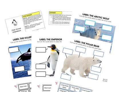 KS1 Hábitats Actividades polares