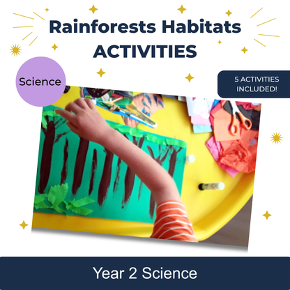 Habitats Rainforests Activities
