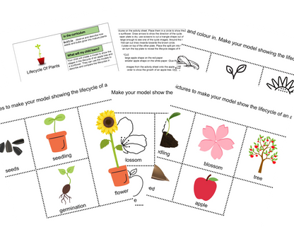 KS1 Comment les plantes poussent des activités