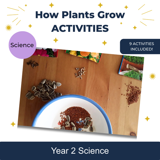 How Plants Grow + Nature Journal
