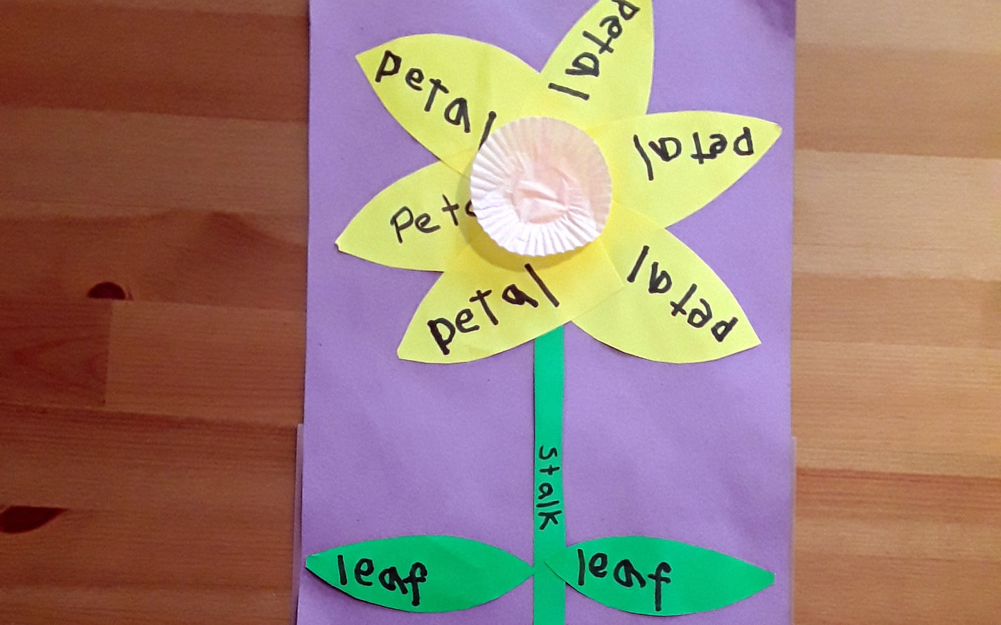 Year 2 How Plants Grow Activities