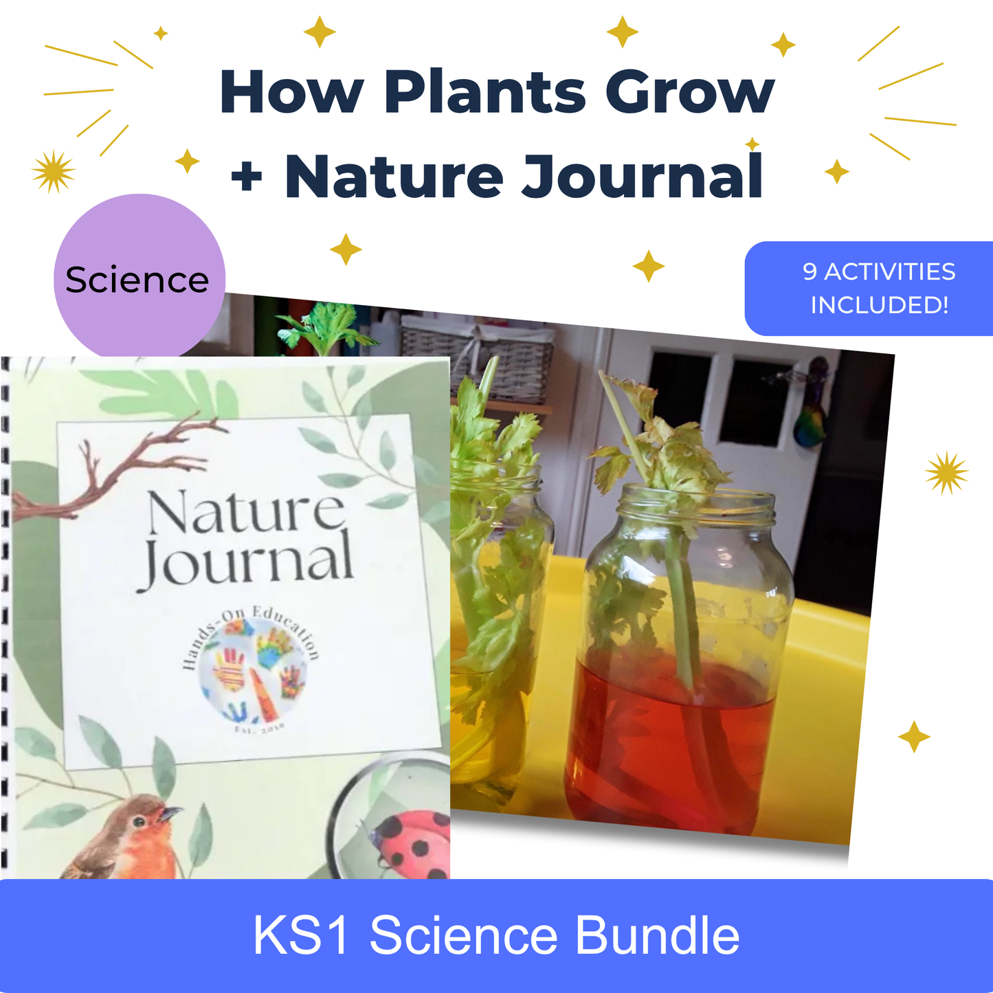 KS1 Comment les plantes poussent des activités