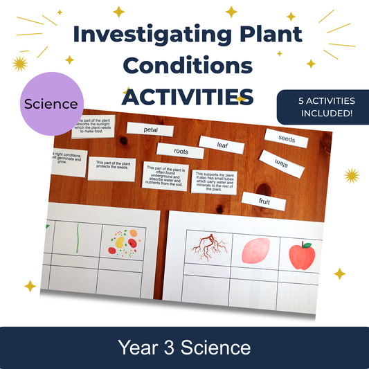 KS2 Investigación de actividades de condiciones de la planta