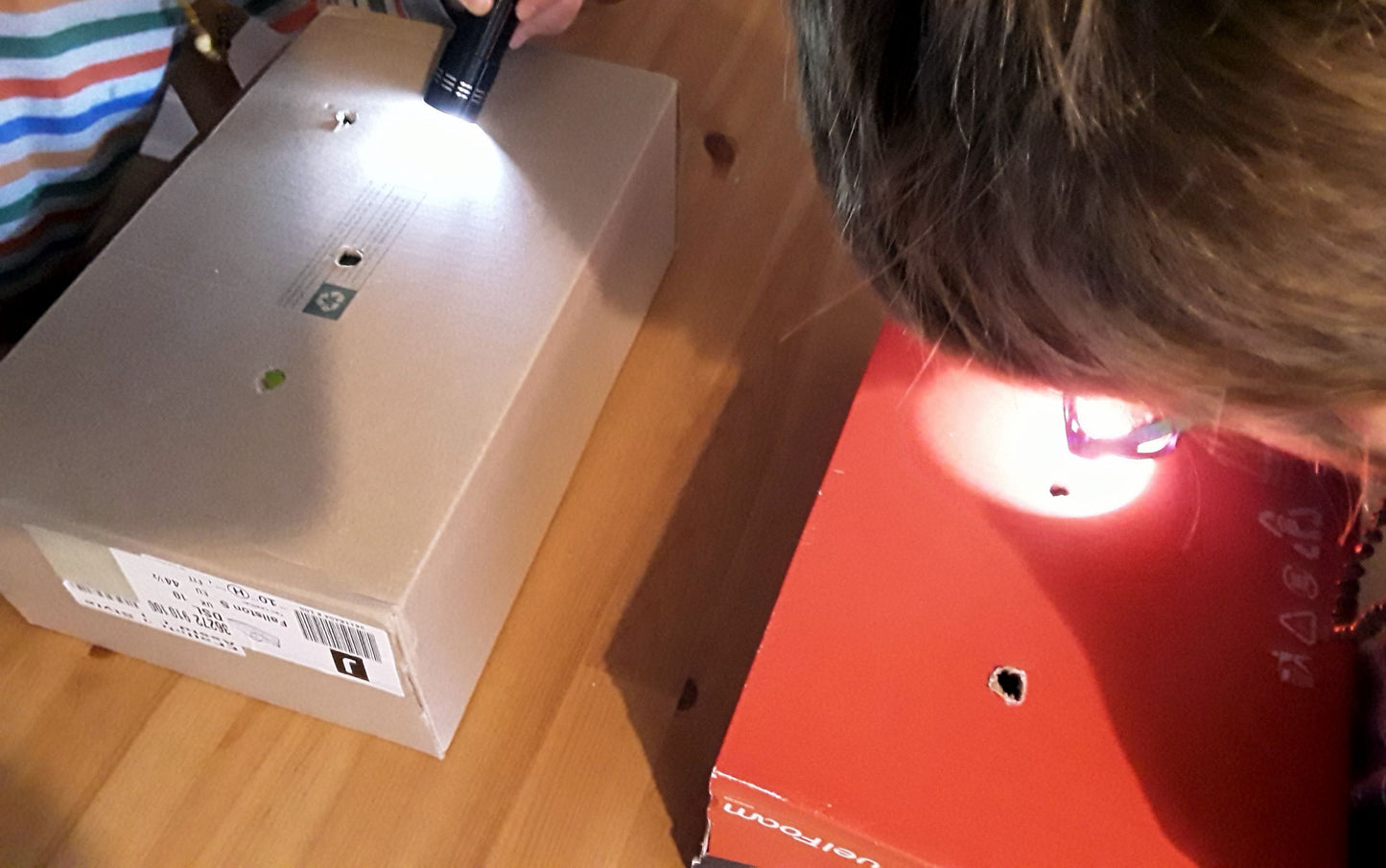 Light Shadows and Reflections + STEM Journal