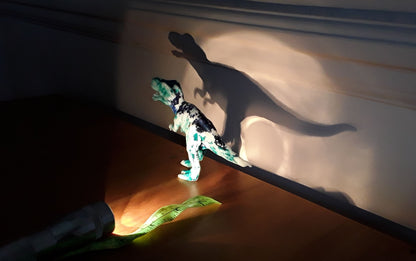 Year 3 Light, Shadows & Reflections Activities