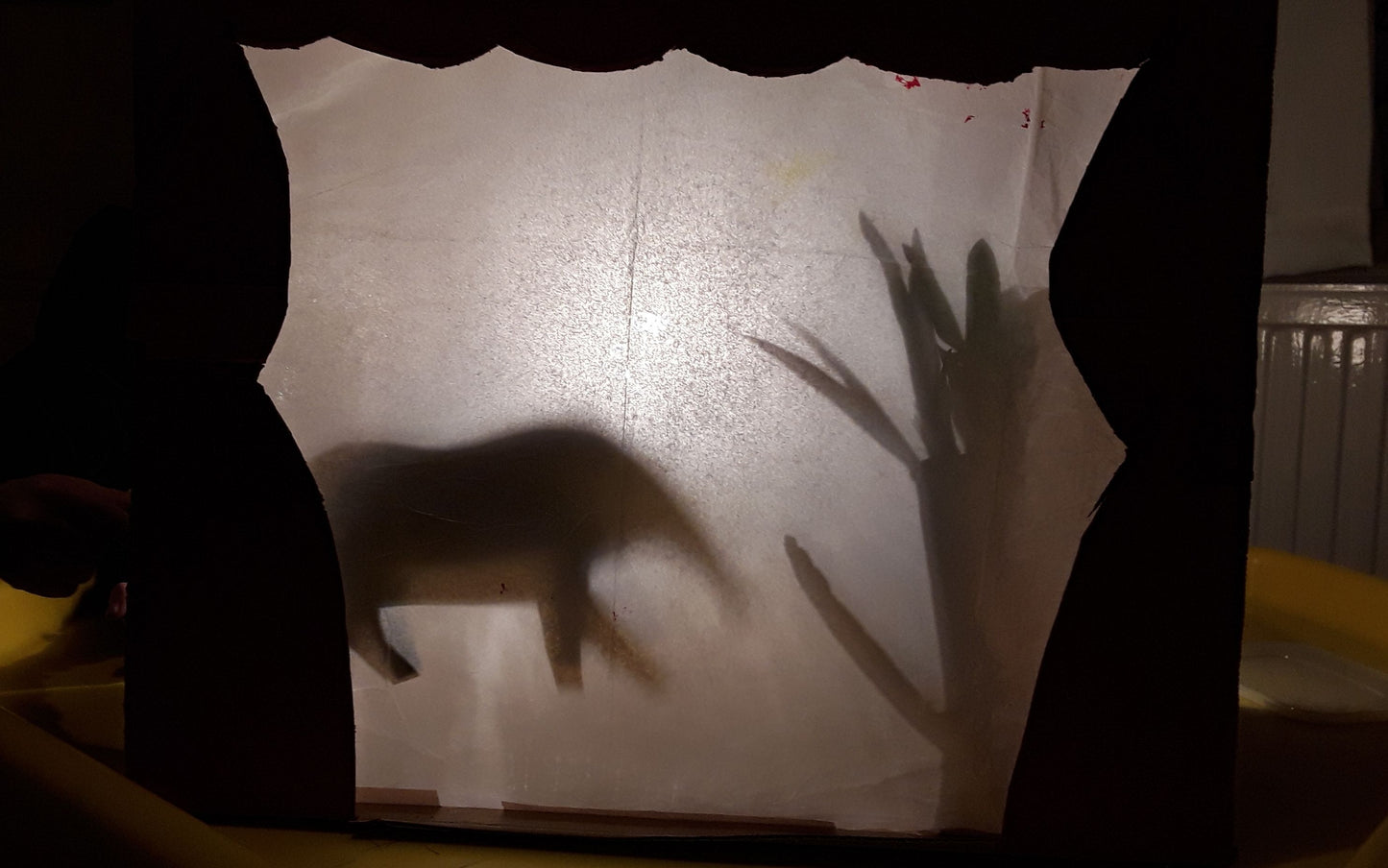 Light Shadows and Reflections + STEM Journal