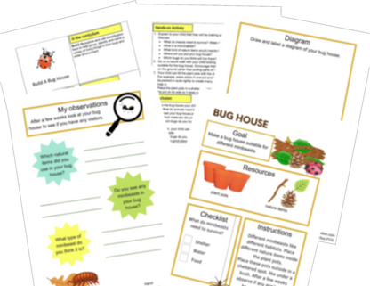 Lower Key Stage 2 Monthly Membership