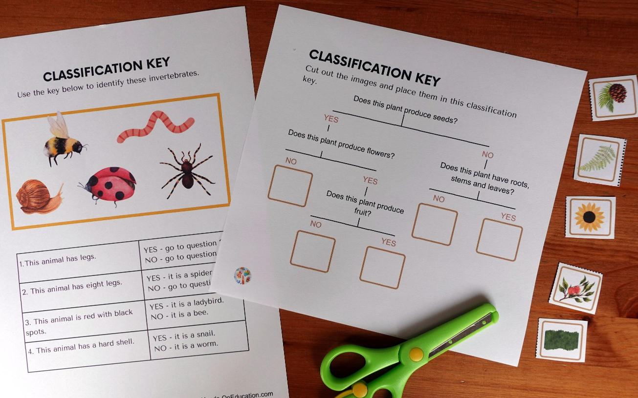 Year 4 Living Things Activities