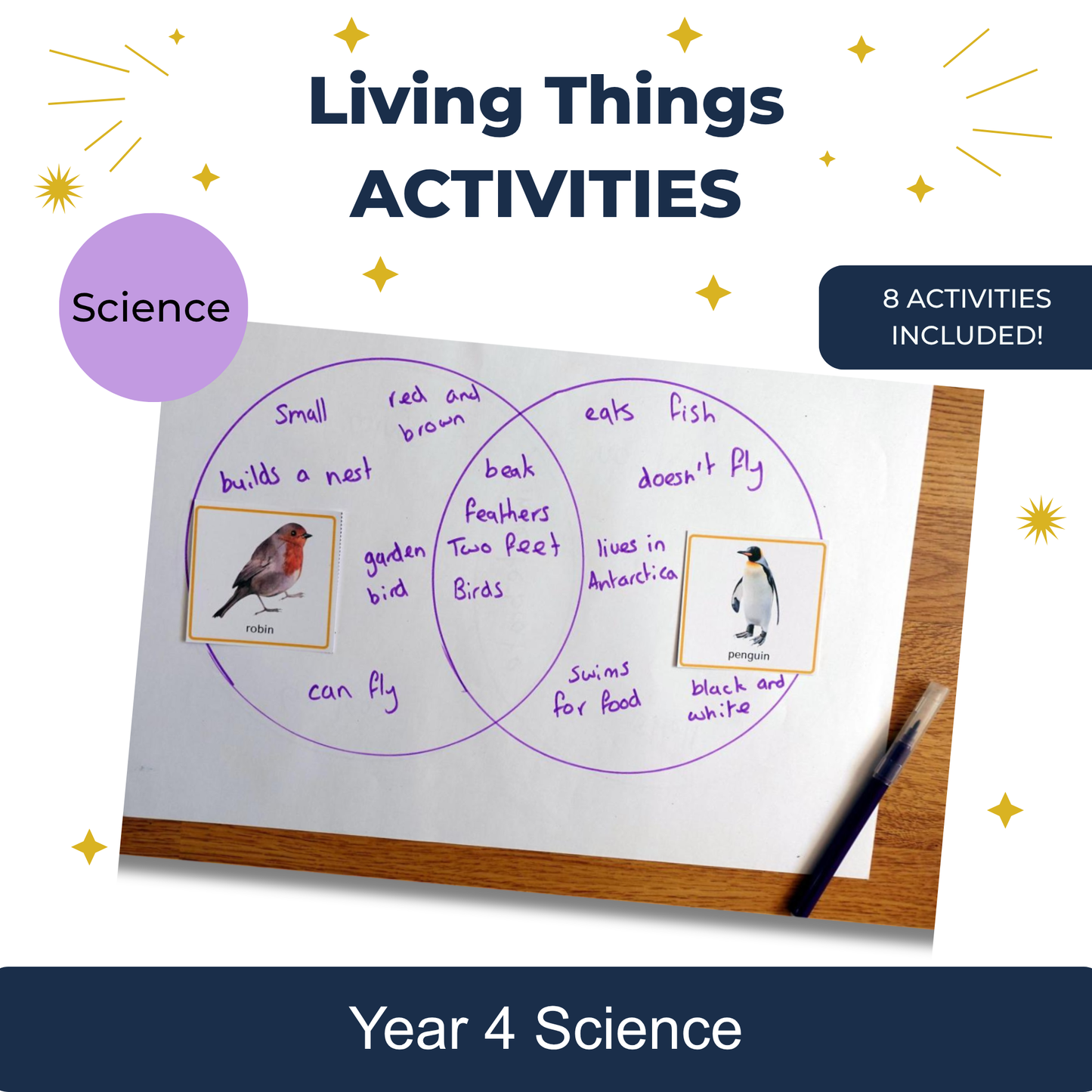Year 4 Living Things Activities