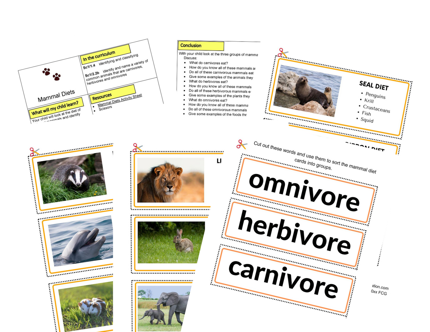 Activités sur les mammifères KS1