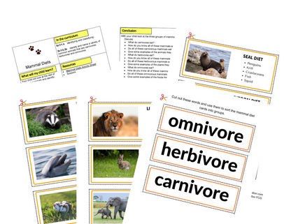 Activités sur les mammifères KS1