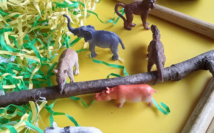 Year 1 Mammals Activities