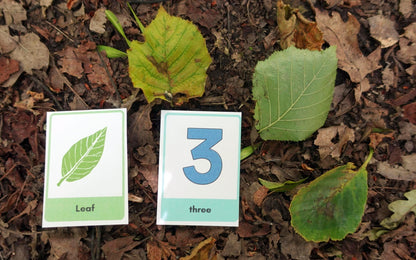 KS1 Matemáticas en la naturaleza Actividades uno