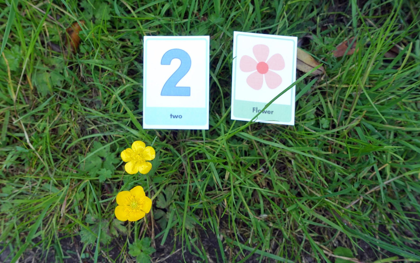 KS1 Maths In Nature One Activités