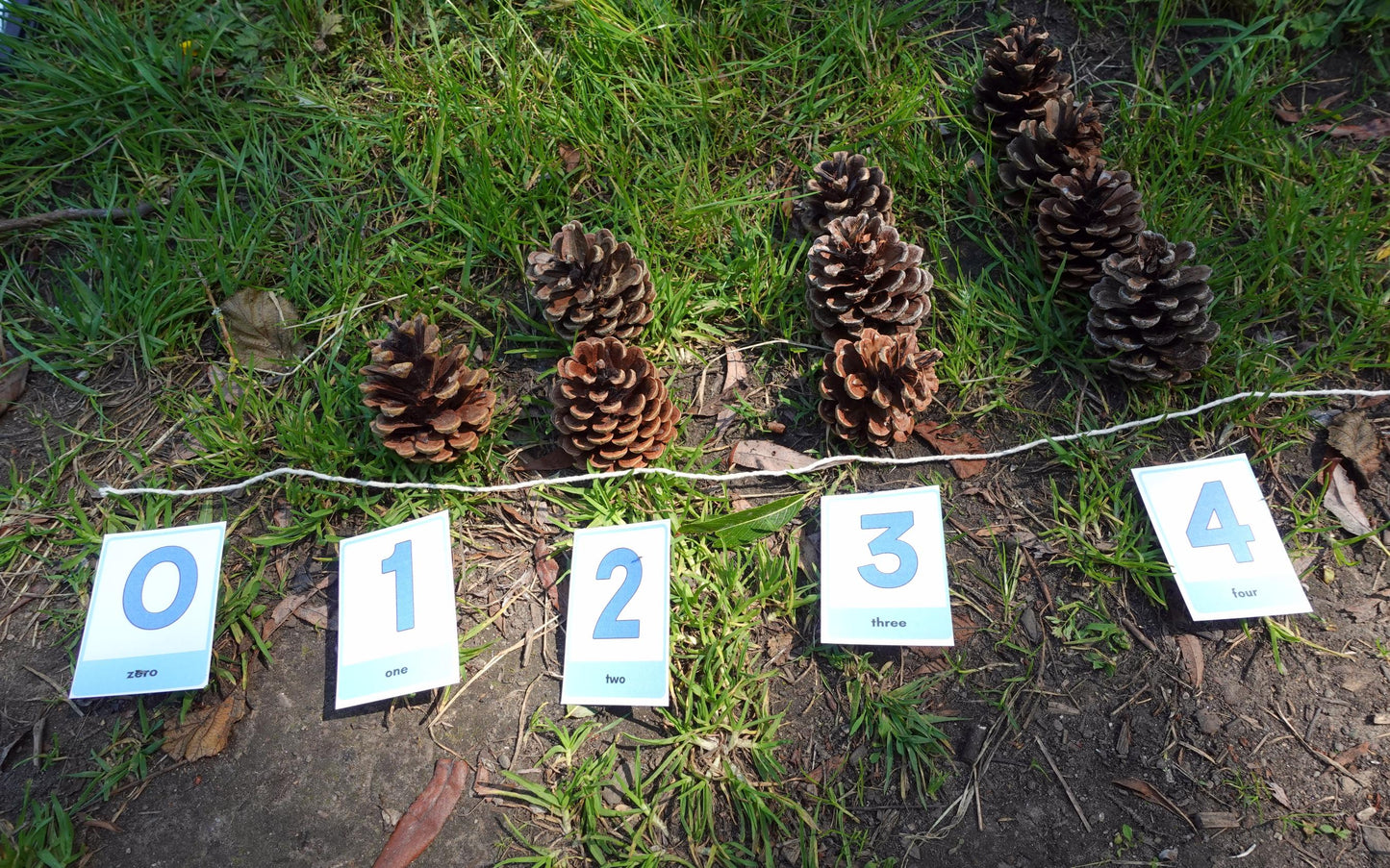 KS1 Maths In Nature One Activities