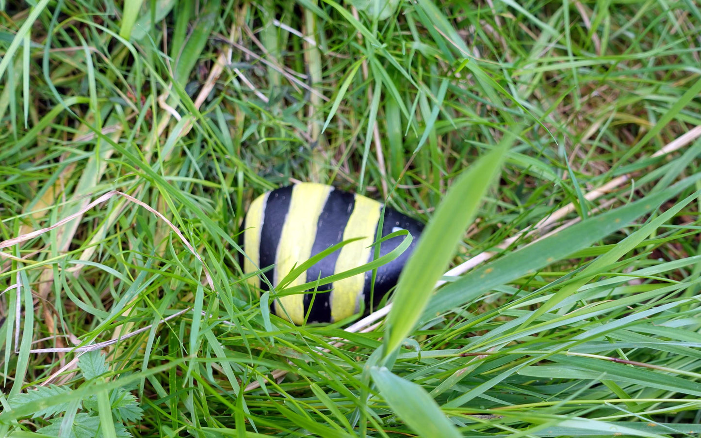 KS1 Maths In Nature One Activités