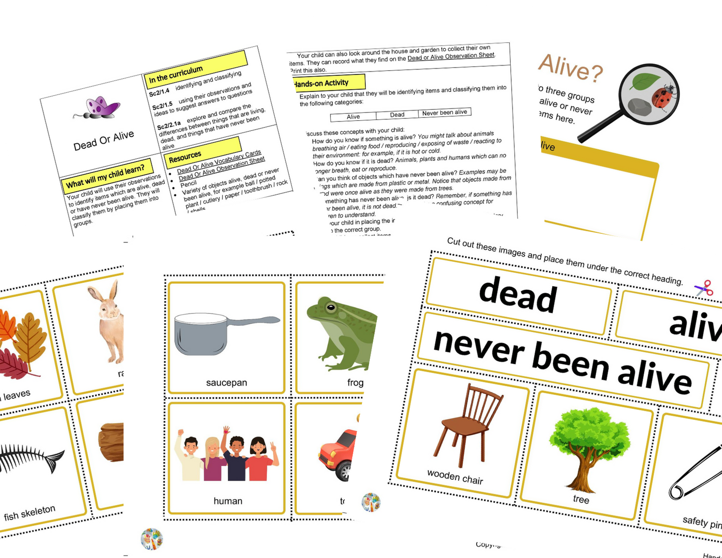 Activités Microhabitats KS1