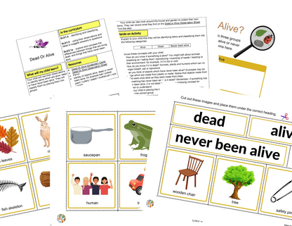 Activités Microhabitats KS1