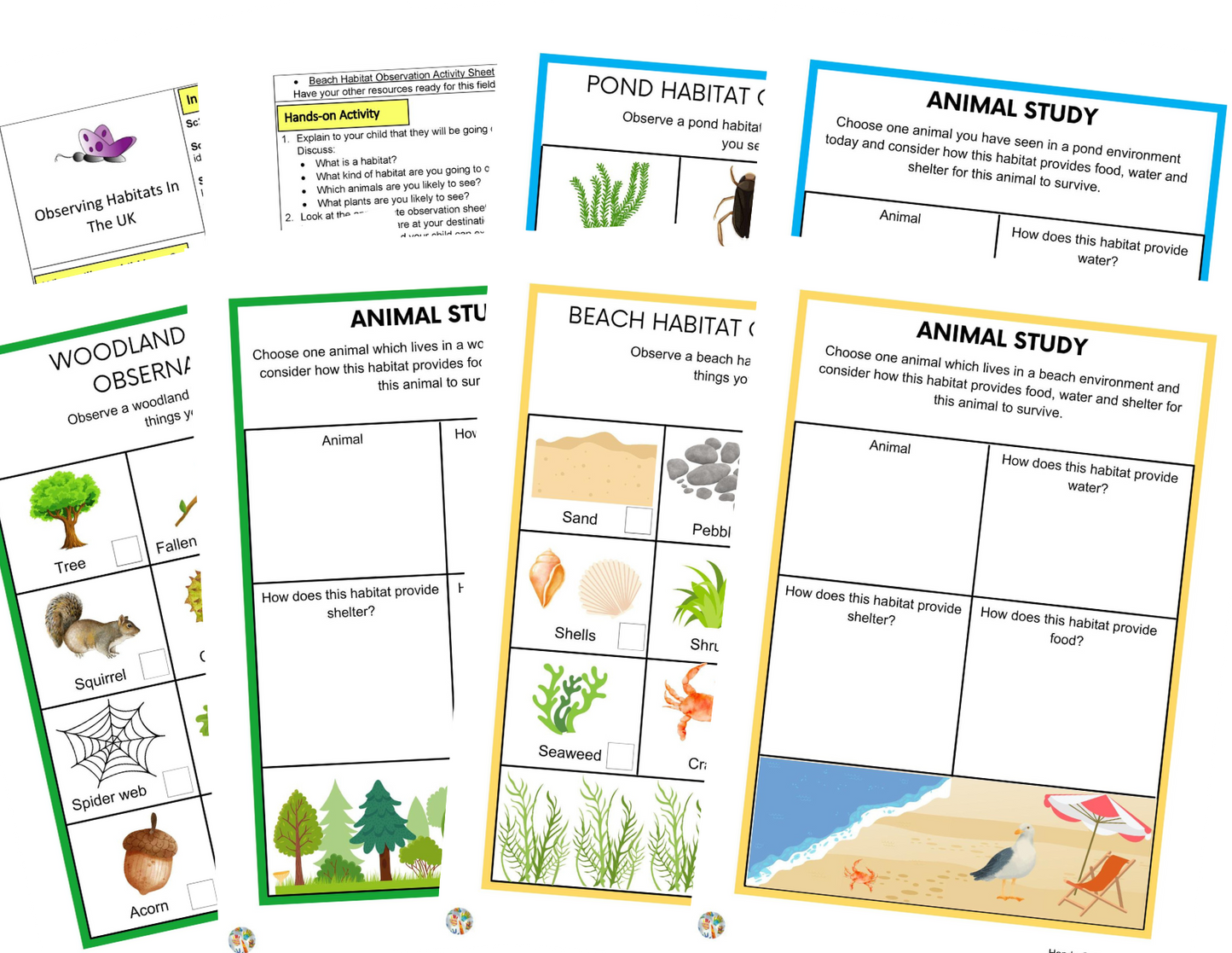 Activités Microhabitats KS1