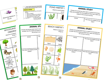 Activités Microhabitats KS1