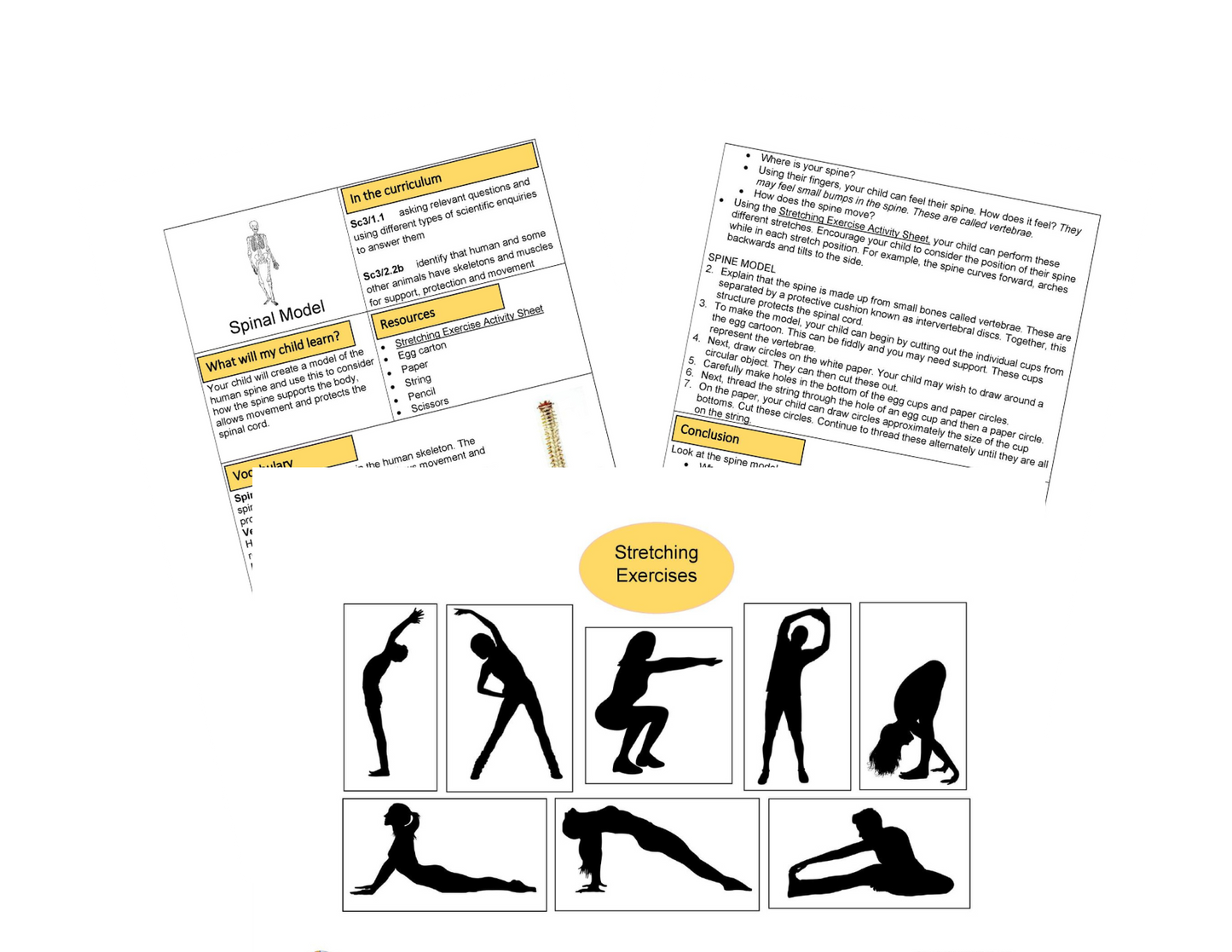 My Skeleton Activities