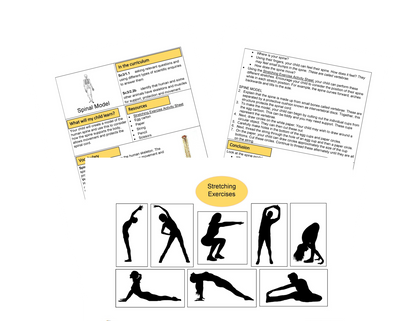 My Skeleton Activities