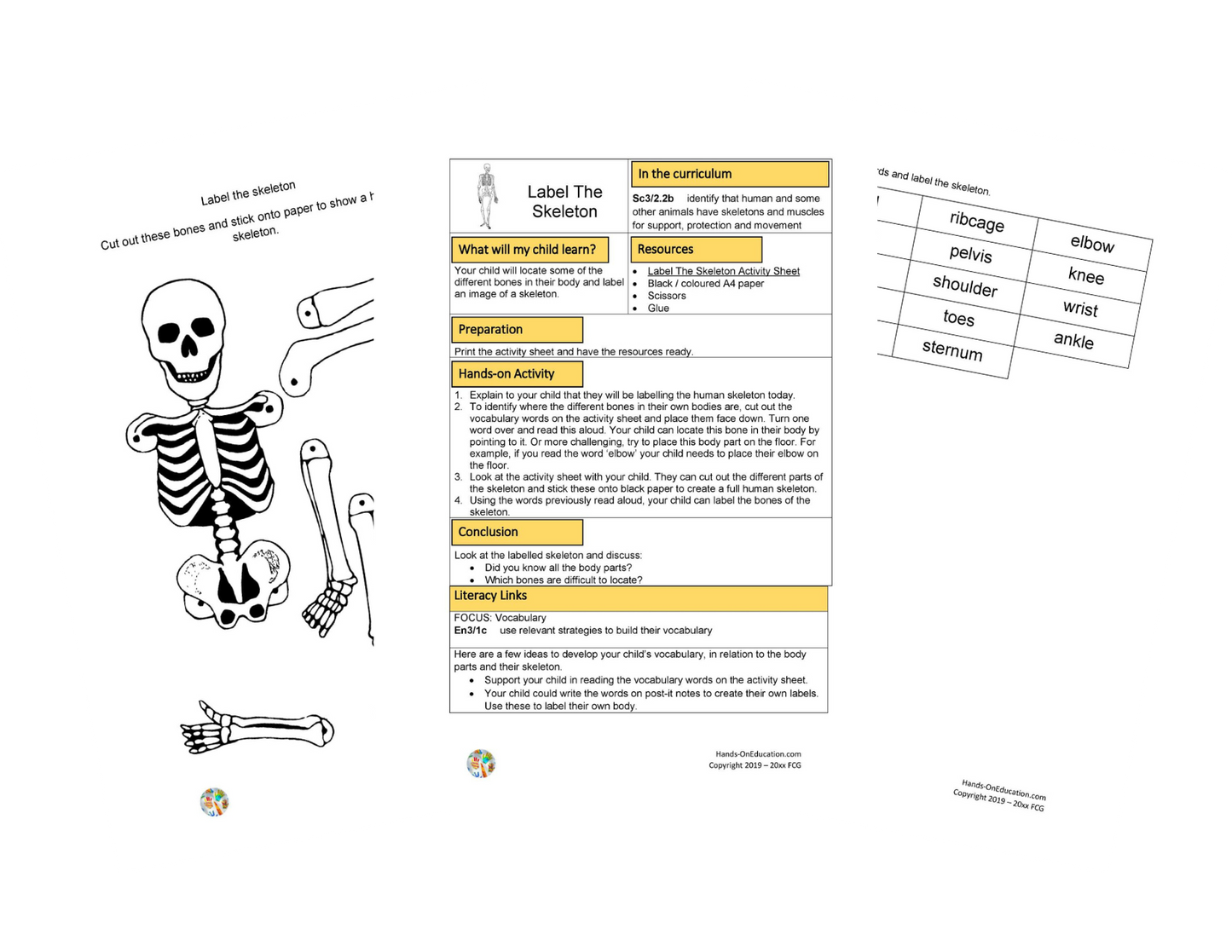 My Skeleton Activities