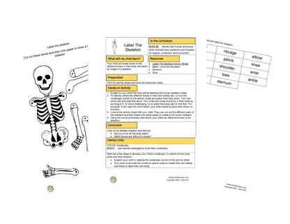 My Skeleton Activities