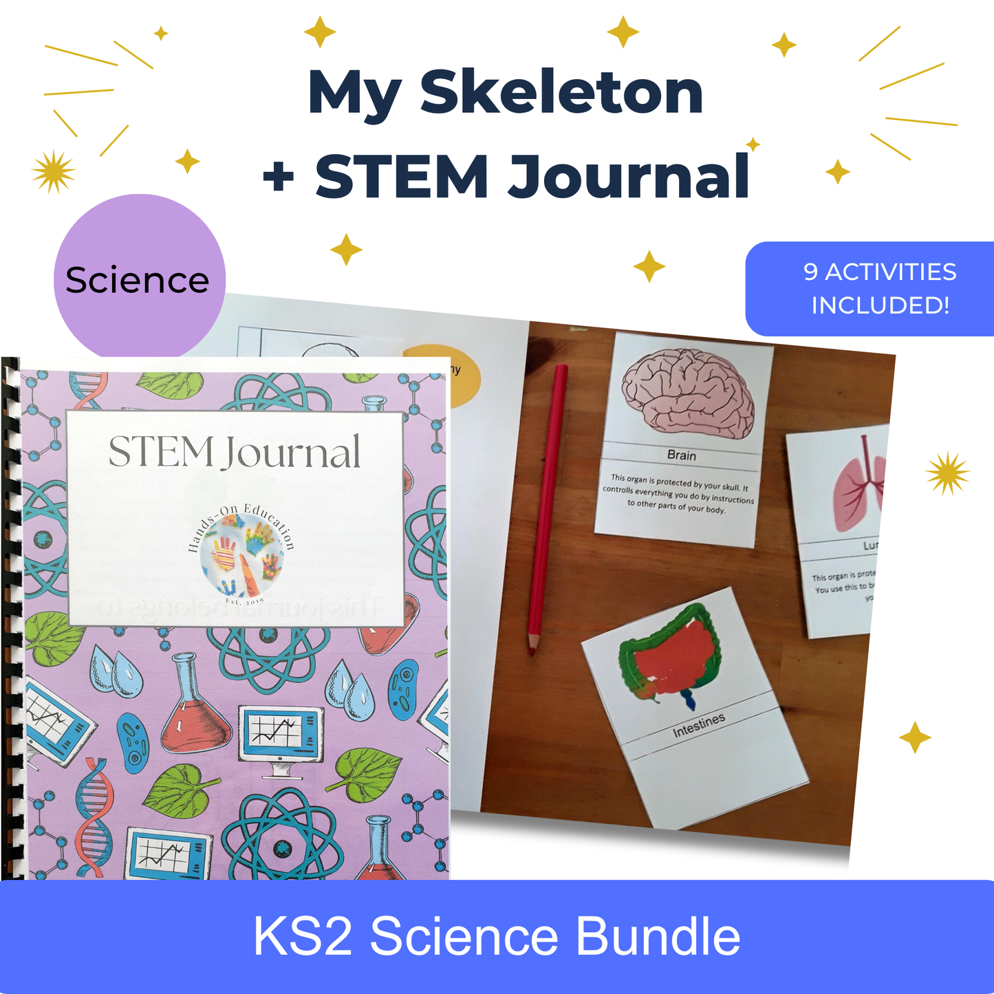 KS2 Mis actividades de esqueleto